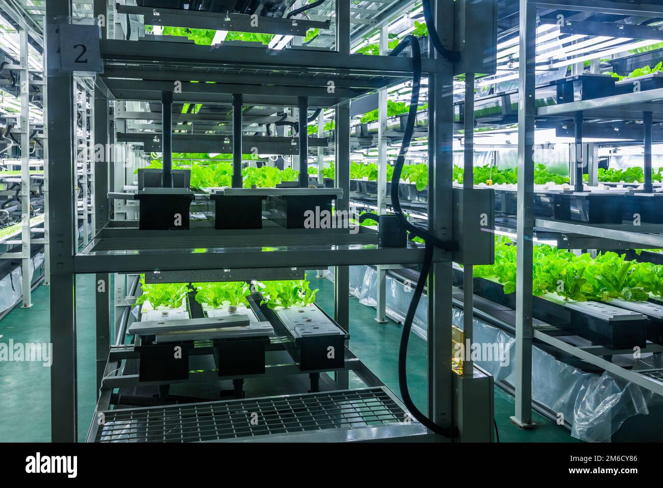 Water harvesting system hi-res stock photography and images - Alamy