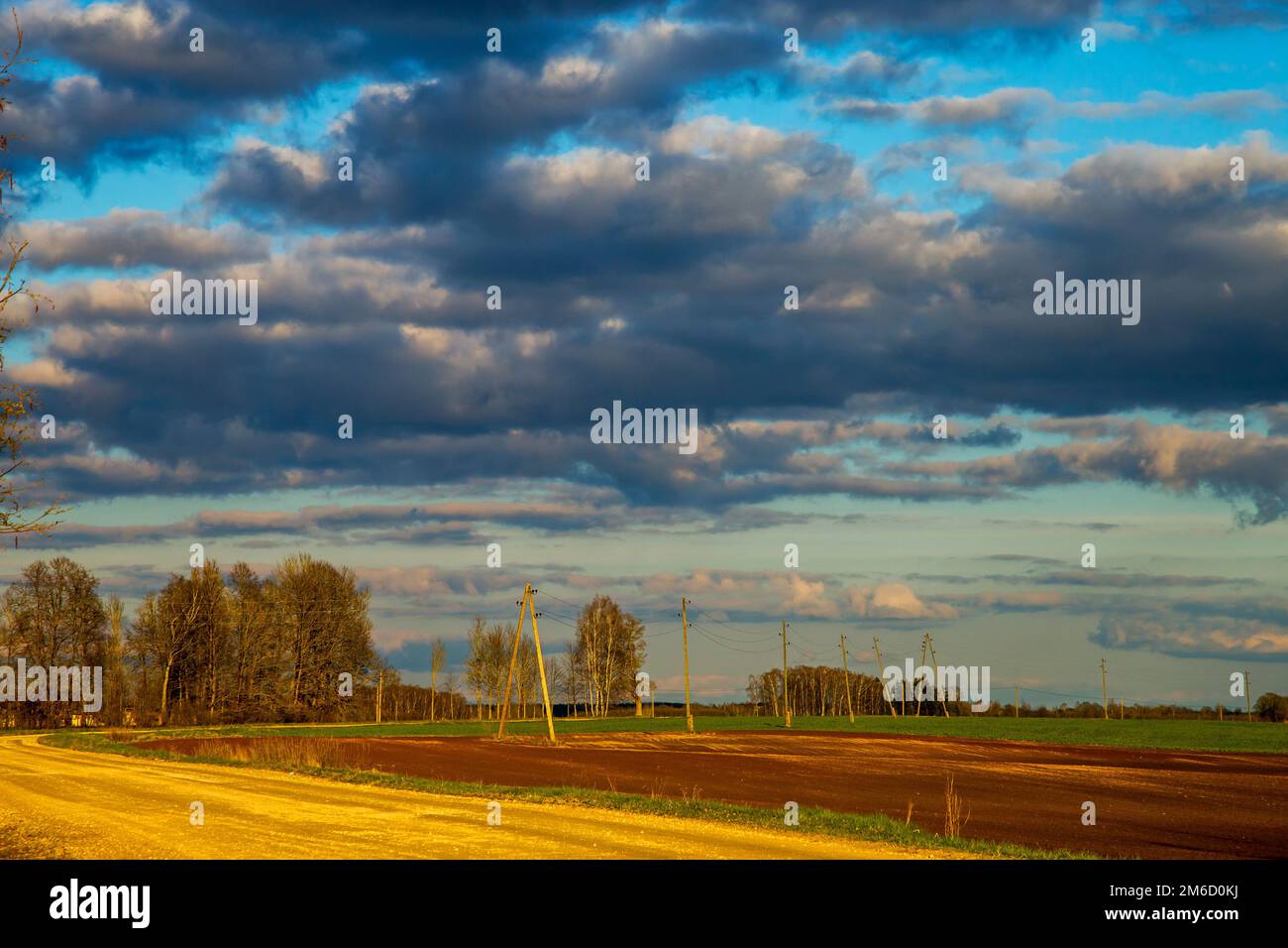 Landscape with blue cloudy sky, cereal field and trees Stock Photo - Alamy