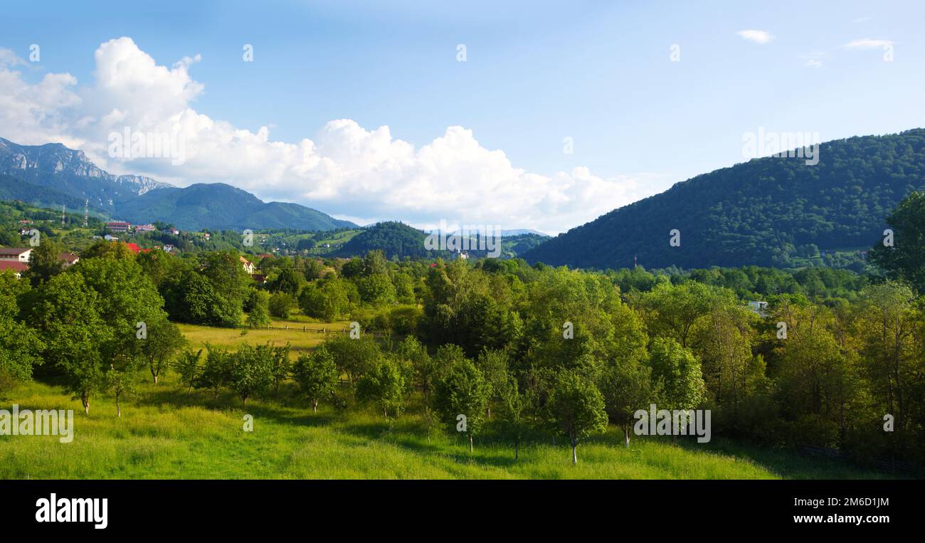 Mountain valley, Carpathian mountains Romania location Bran Stock Photo