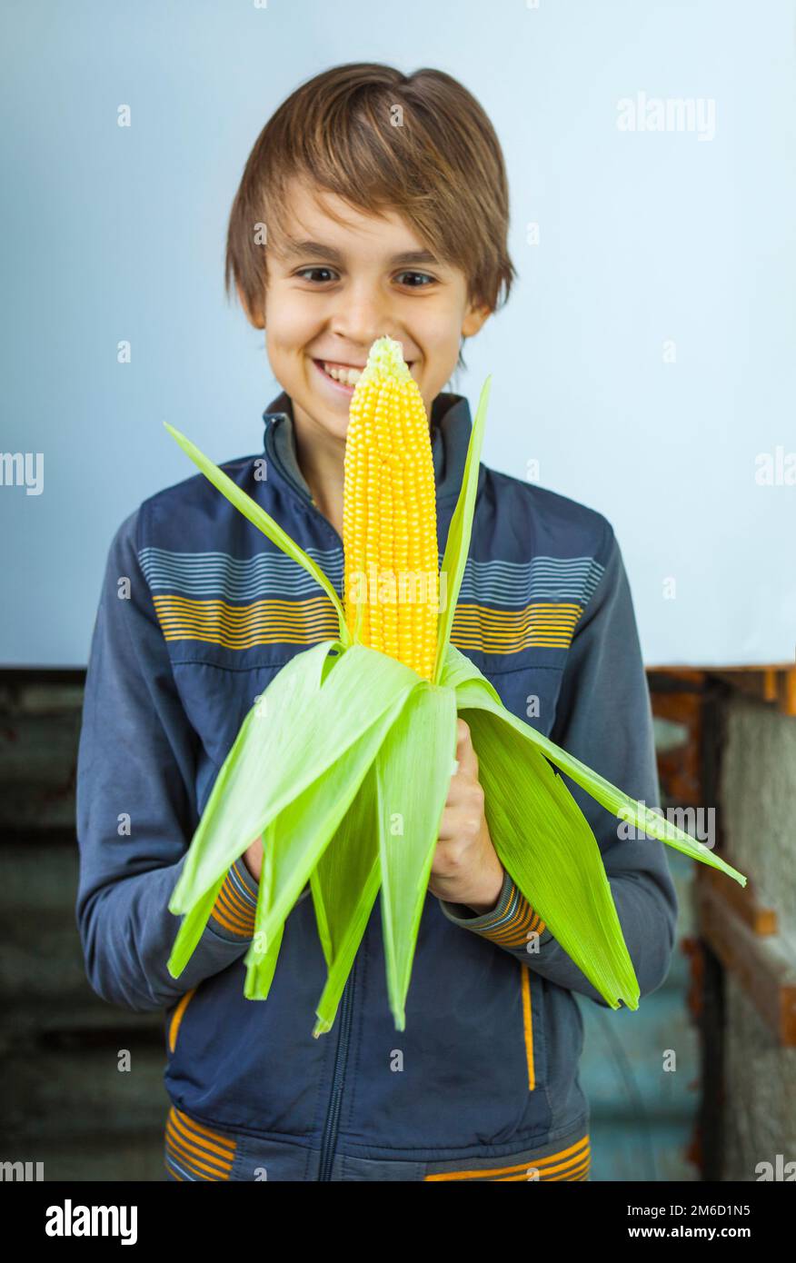 Teenager boy smiles eating boiled corn cob Stock Photo Alamy
