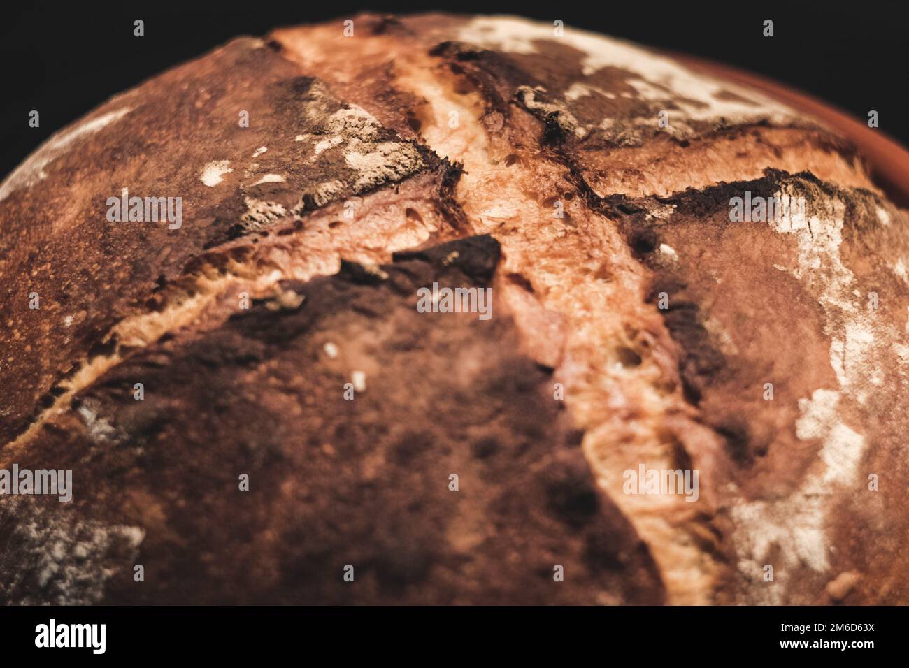 Homemade bread loaf fresh out of the oven, made out of white wheat