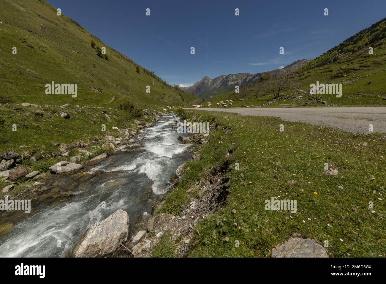 Stream cut valley hi-res stock photography and images - Alamy
