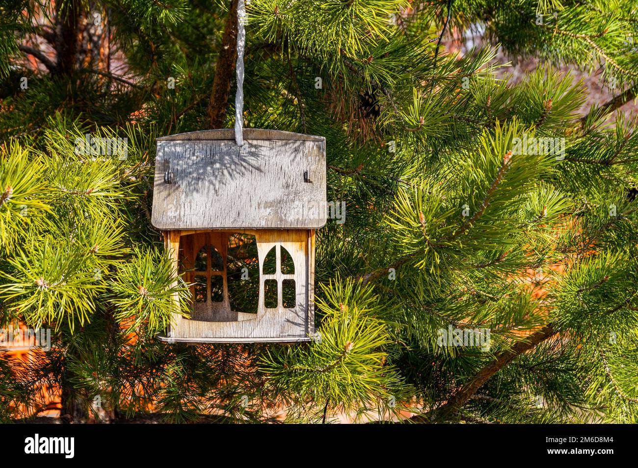 A new bird feeder in the shape of a house is hanging on a green spruce branch. Stock Photo