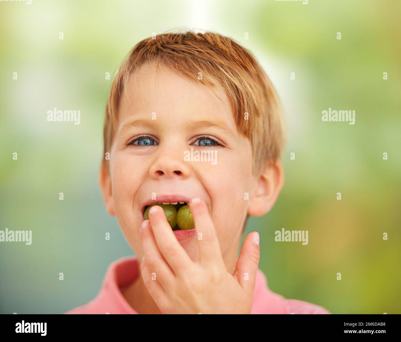 Its a mouthful of fruitiness. a boy stuffing two grapes in his mouth. Stock Photo