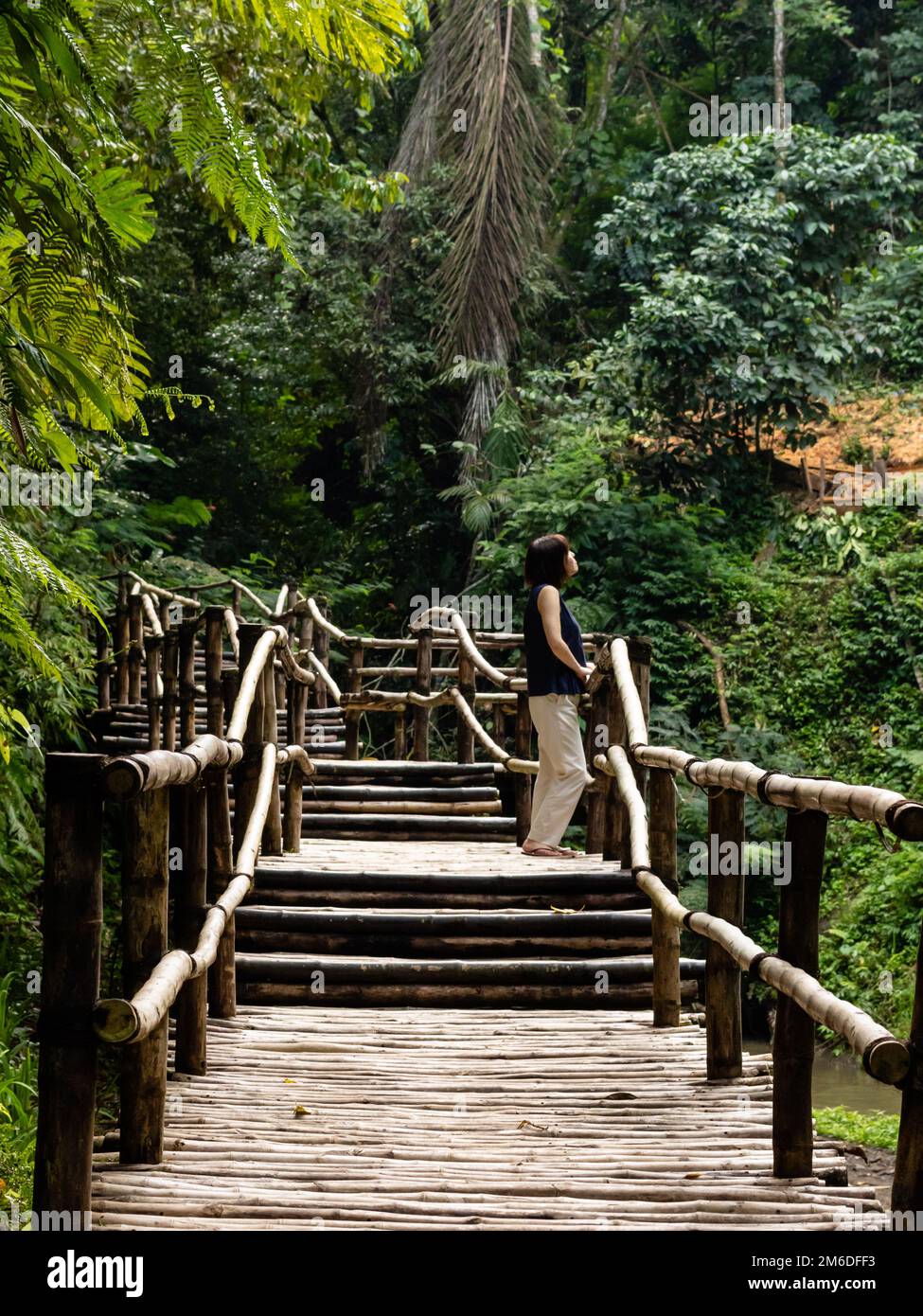 Young fashionable woman on a bamboo bridge Stock Photo