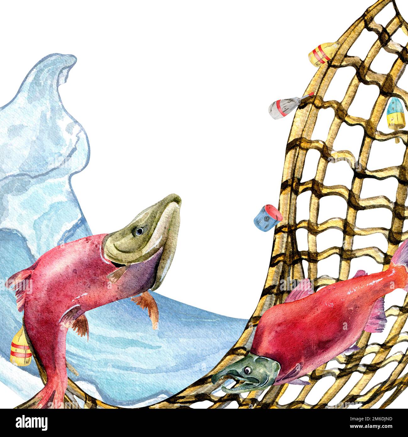 Composition of salmon, coho and fishnet watercolor illustration ...