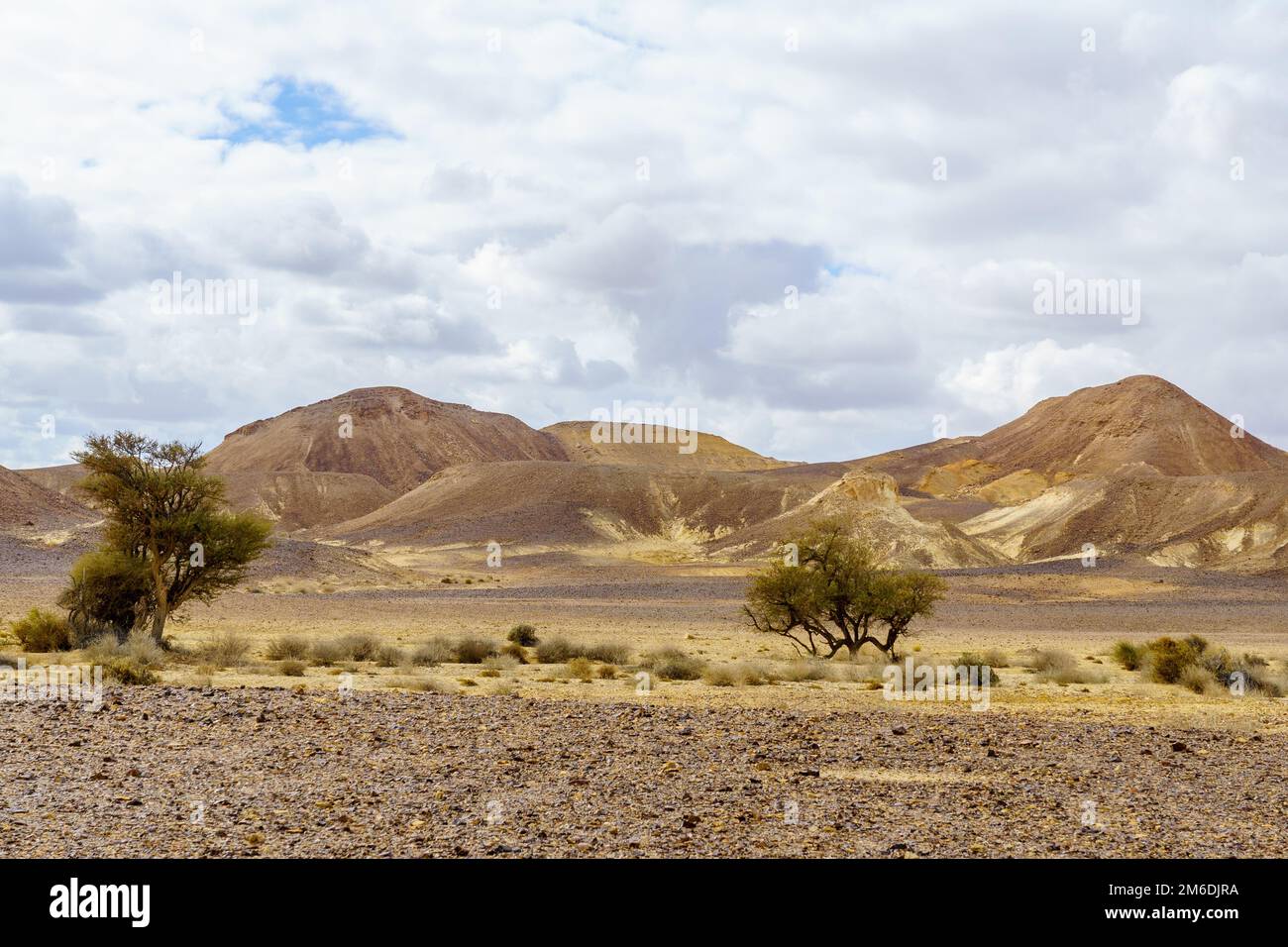 Winter view of desert landscape in Kedar valley, Massive Eilat Nature Reserve, southern Israel Stock Photo