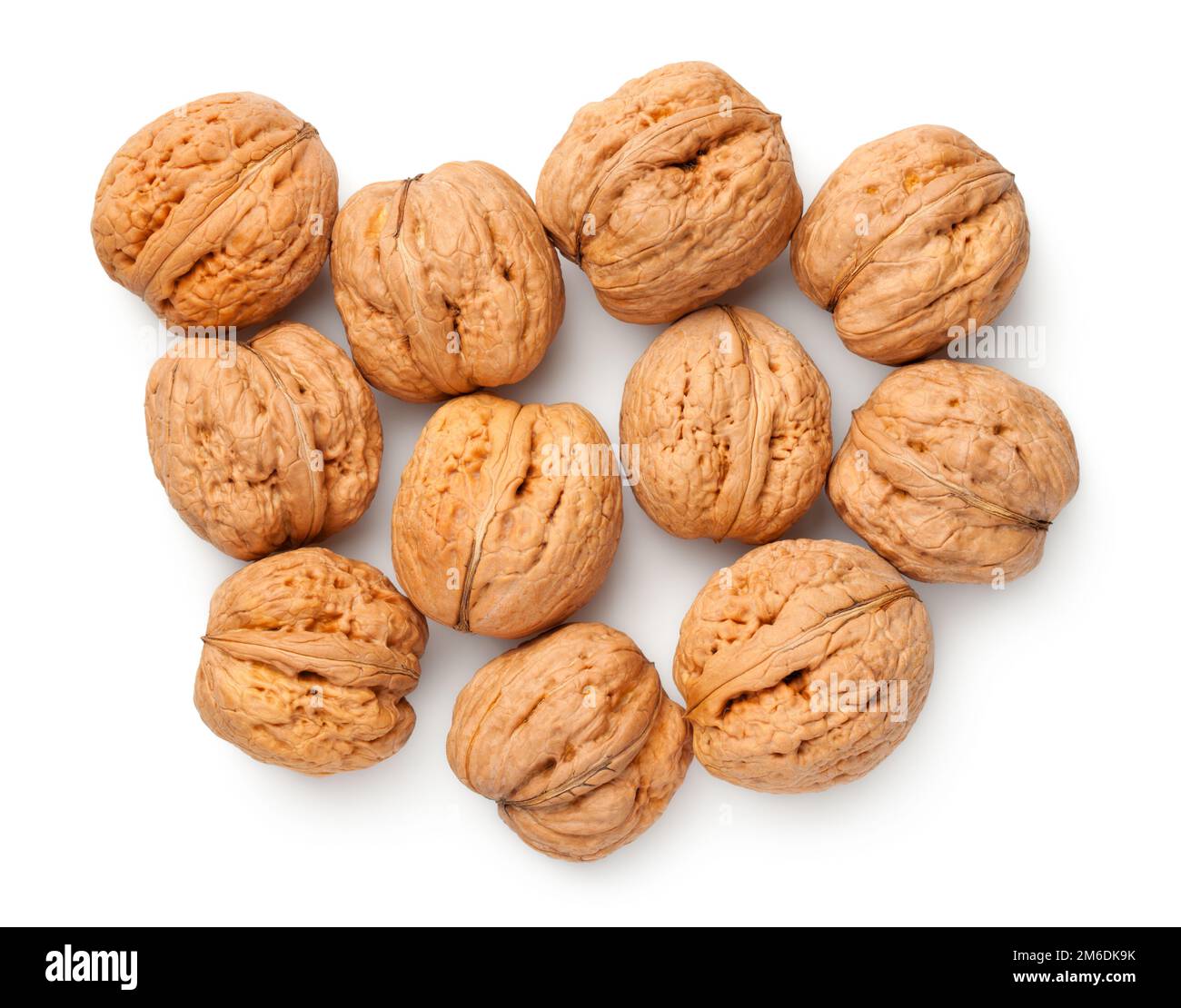 Walnuts Isolated On White Background Stock Photo