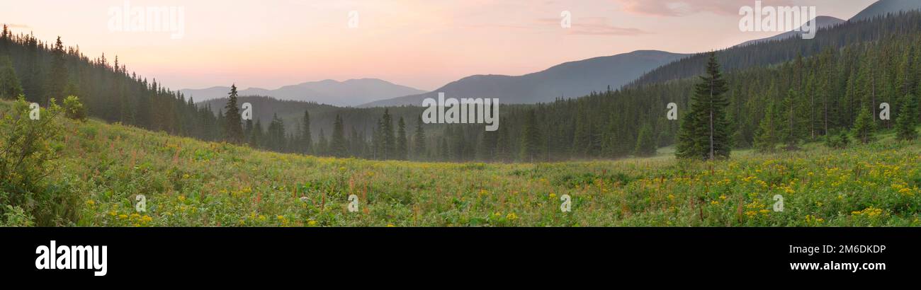 Early morning in the Carpathian mountains Stock Photo - Alamy