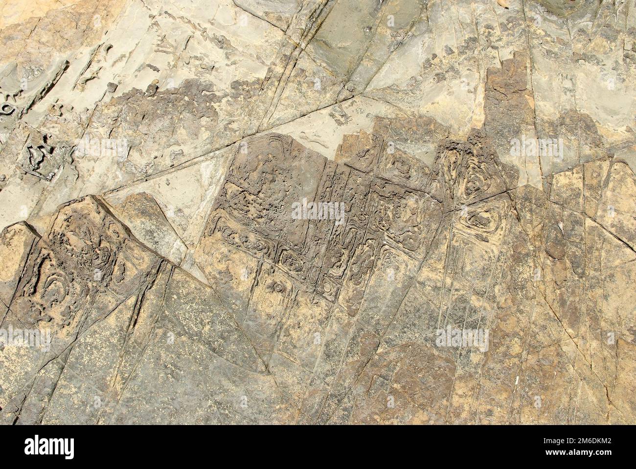 Close up natural stone texture background Stock Photo - Alamy