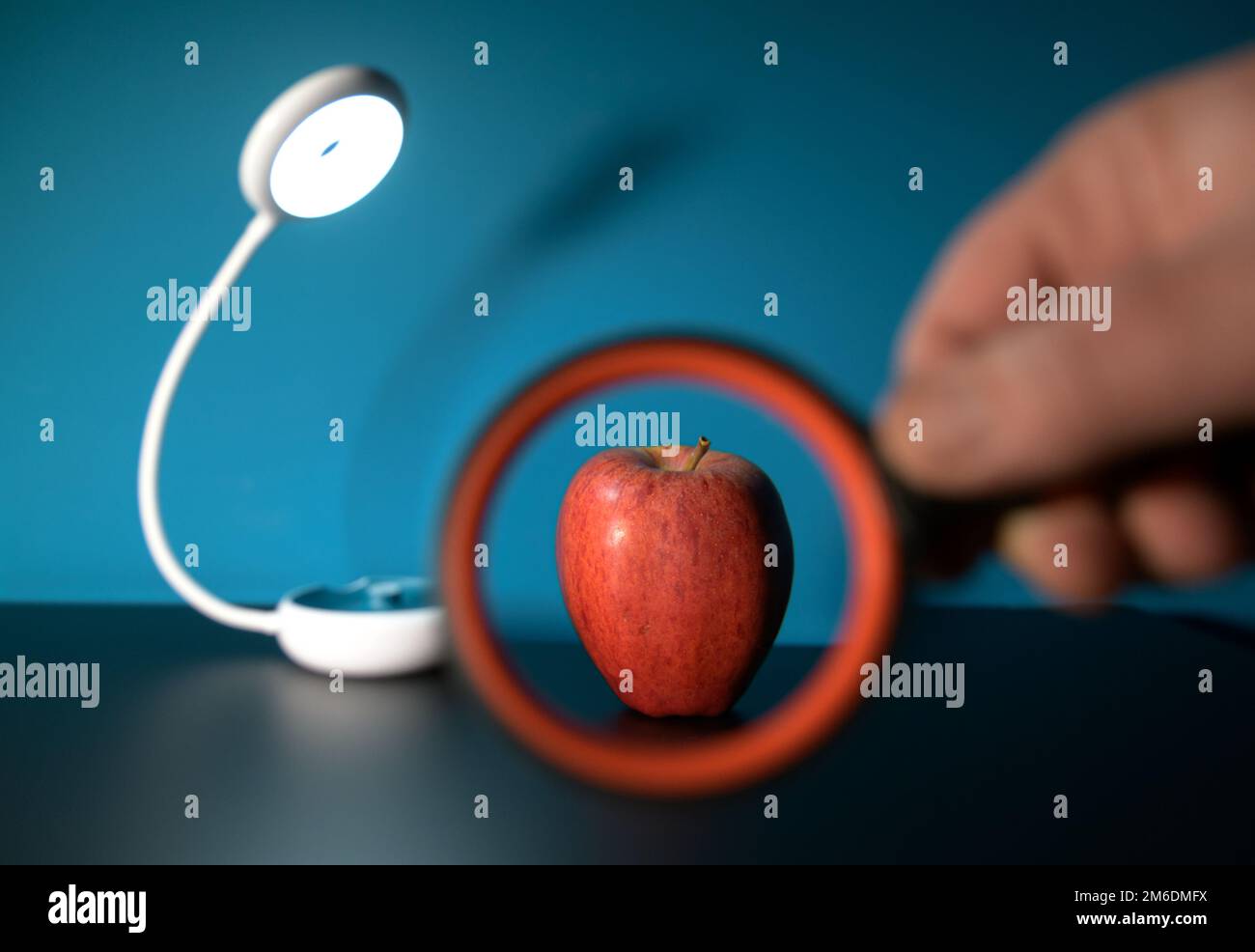 Looking at an apple through a magnifying glass Stock Photo