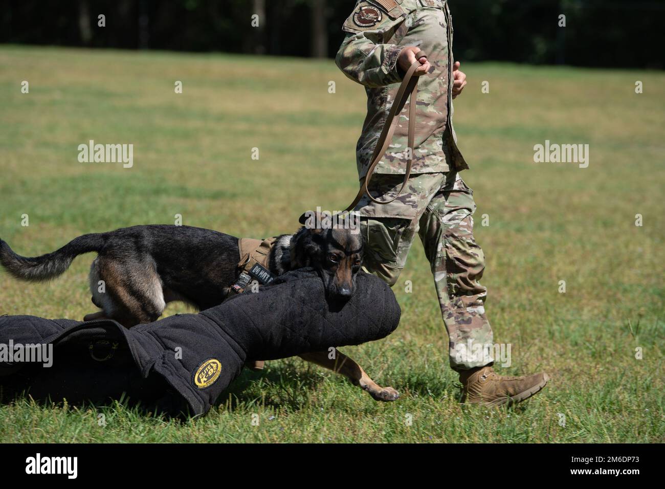 .S. Air Force Senior Airman Brady Sloup, 23rd Security Forces Squadron military working dog handler, walks MWD Oszkar around a field after a K-9 demonstration at St. John the Evangelist Catholic School, Valdosta, Georgia, April 25, 2022. To highlight Month of the Military Child, the St. John faculty hosted the K-9 demo to show appreciation for the military students and their classmates. The demo entailed bite suit training and verbal commands to highlight the dogs training. Stock Photo