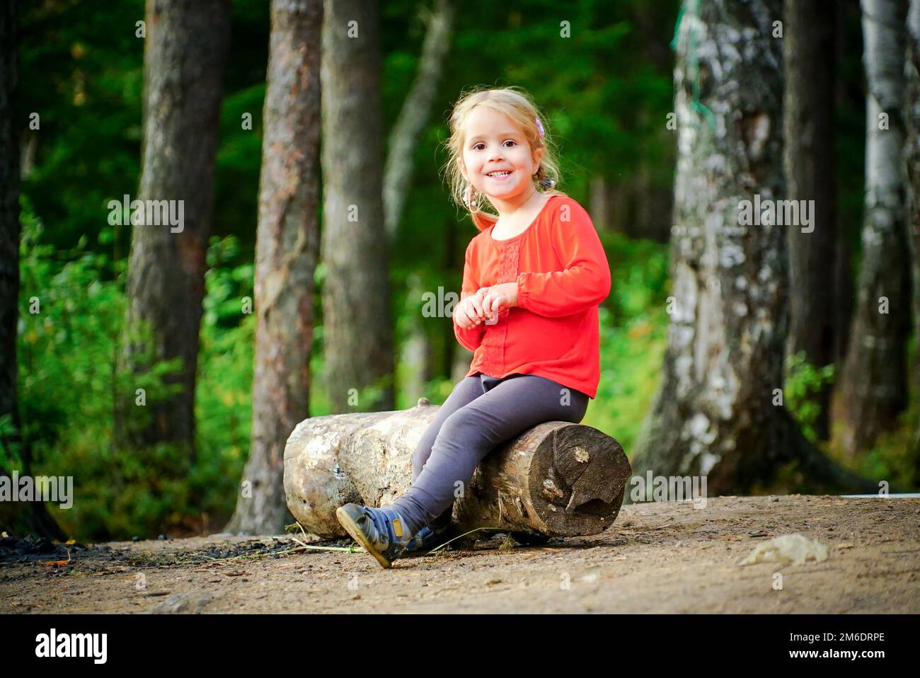 A small 3 year old cheerful girl is sitting on a log in the forest. Stock Photo