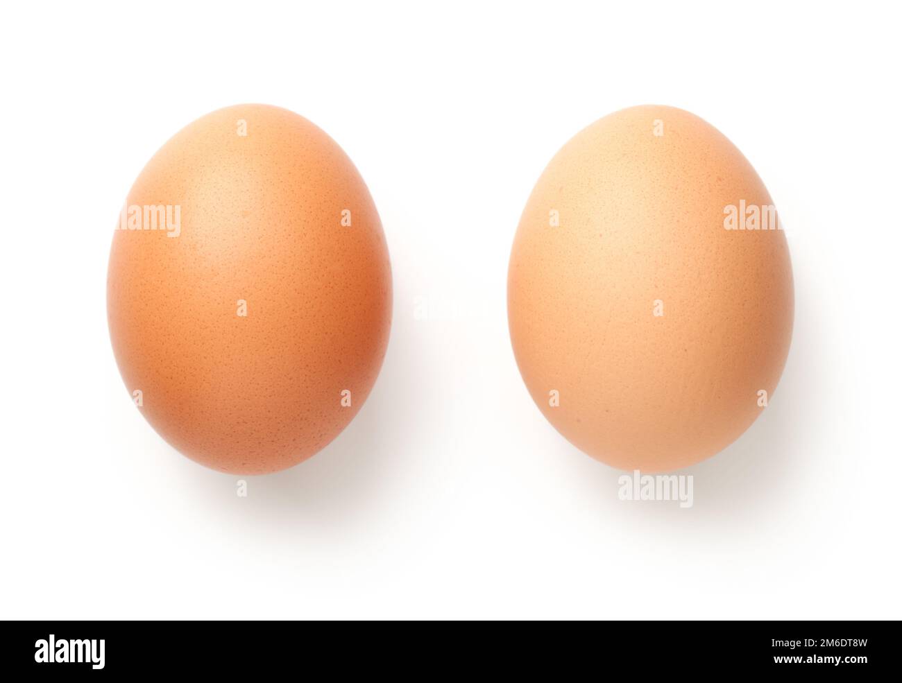 Chicken Eggs Stock Photo