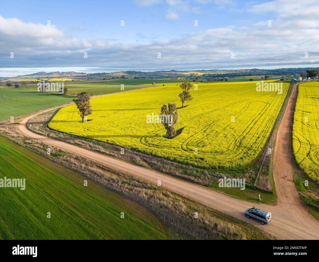 Farmland crops as far miles and miles in rural NSW Australia. Growing