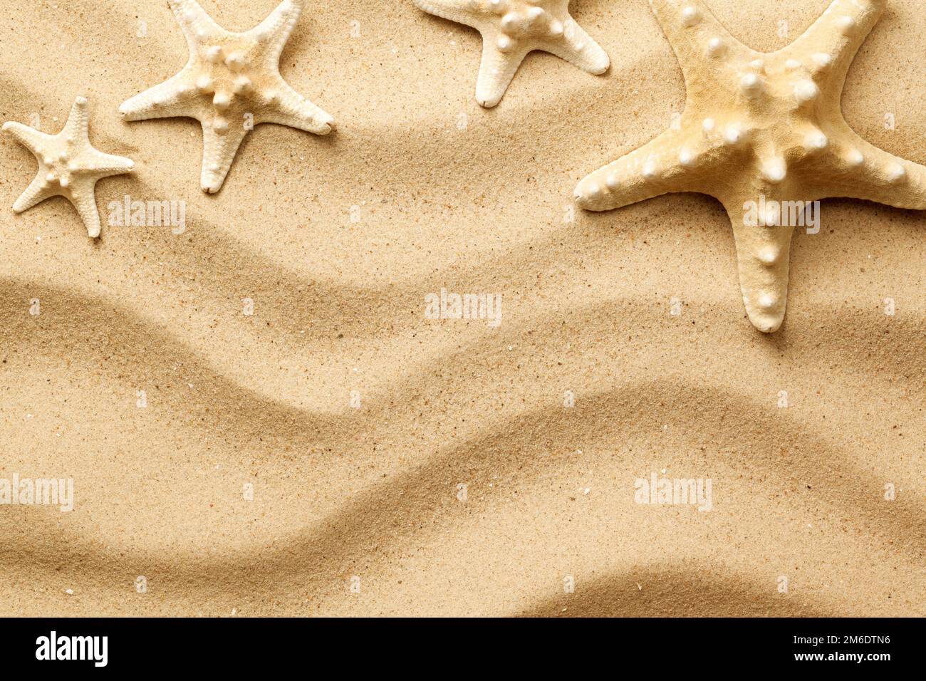 Starfishes On Sand Background Stock Photo