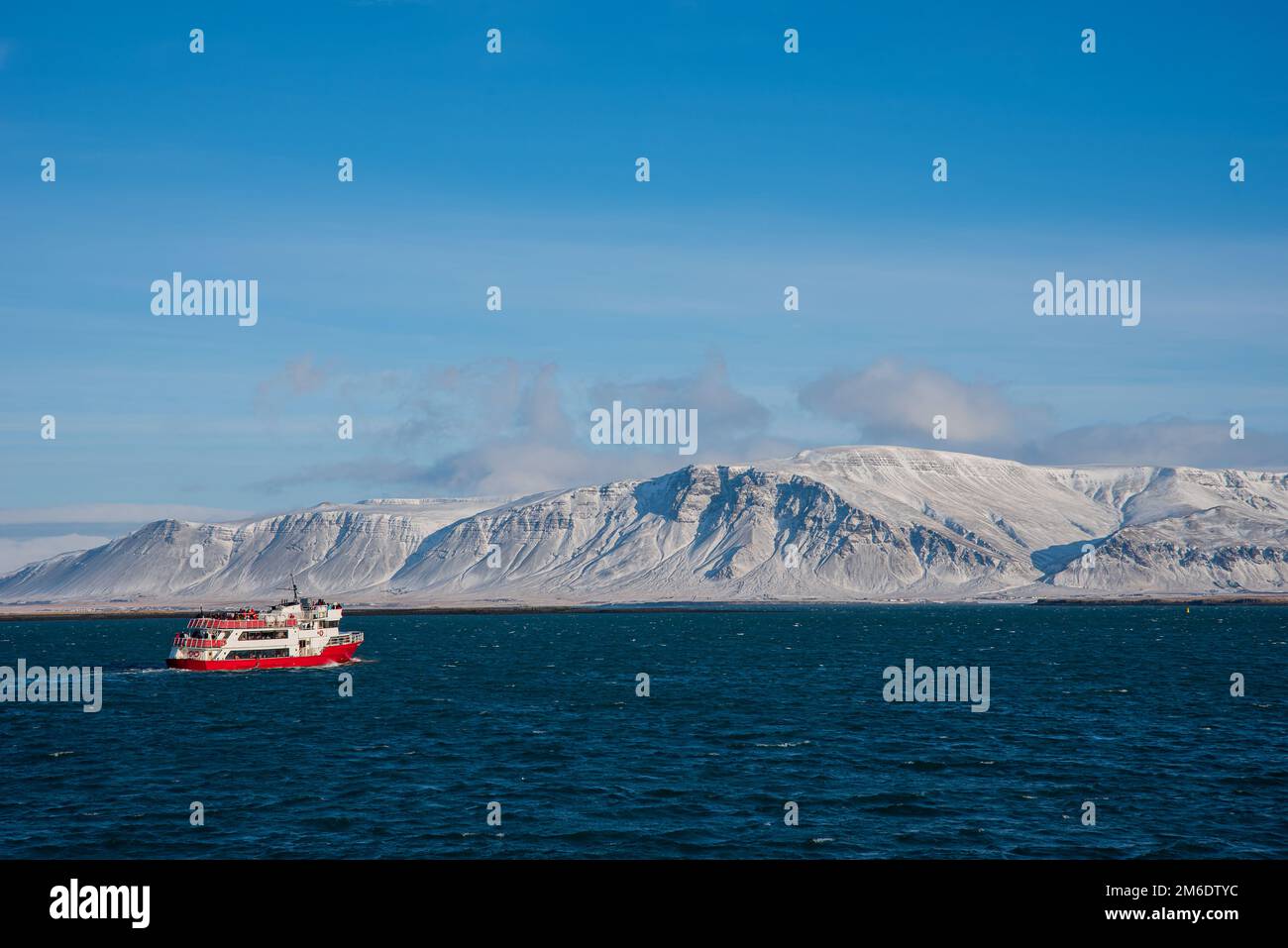 Whale iceland hi-res stock photography and images - Alamy