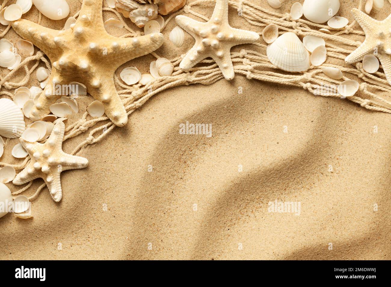 Seashells And Starfishes On Sand Background Stock Photo