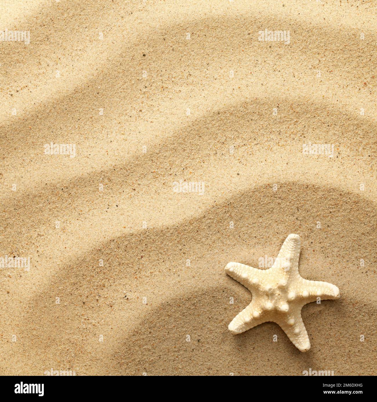 Starfish On Wavy Sand Background Stock Photo - Alamy
