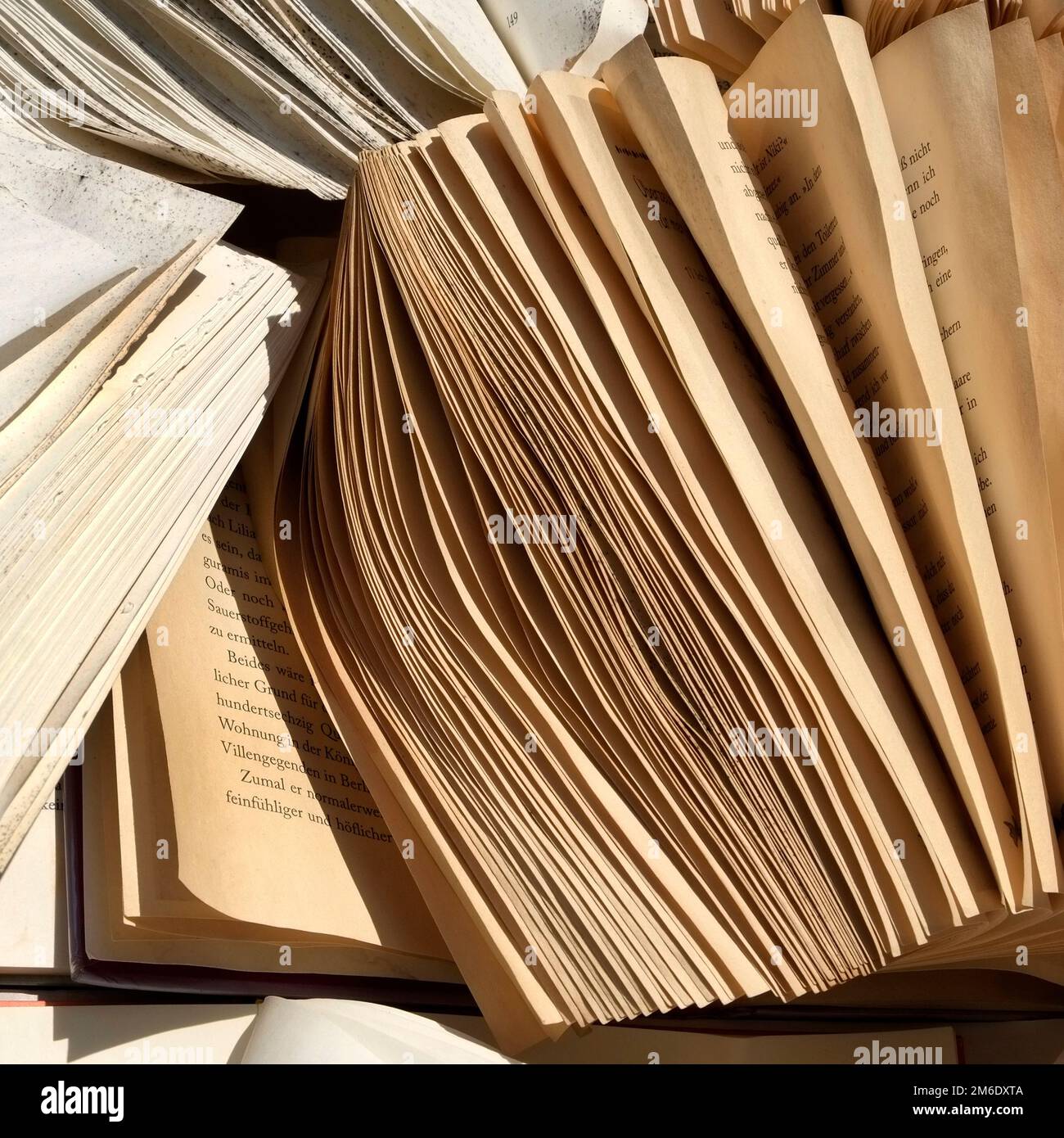 Waste paper, books Stock Photo Alamy