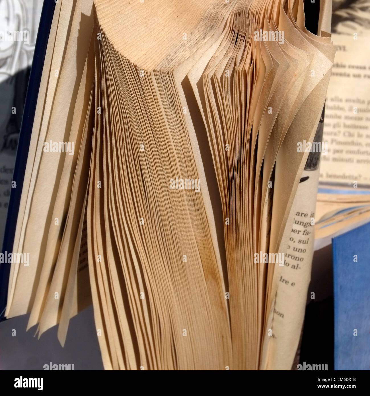 Waste paper, books Stock Photo Alamy