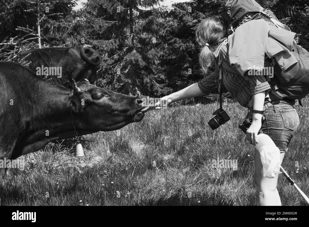 Female hiker view Black and White Stock Photos & Images - Alamy
