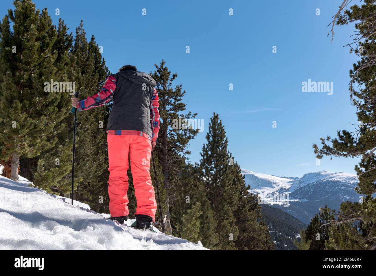 Woman with snow rackets in snowy landscape in snow landscape with trees in Ransol Stock Photo
