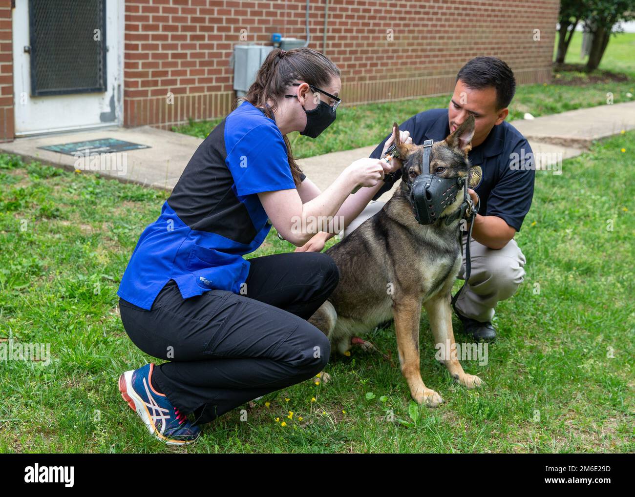 Army dog handler marine hires stock photography and images Alamy