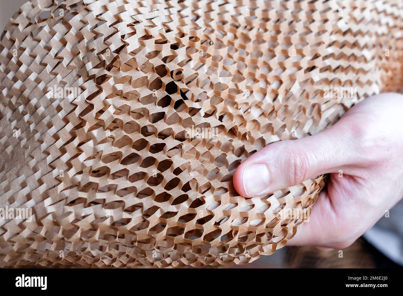 Packaging mesh 2024