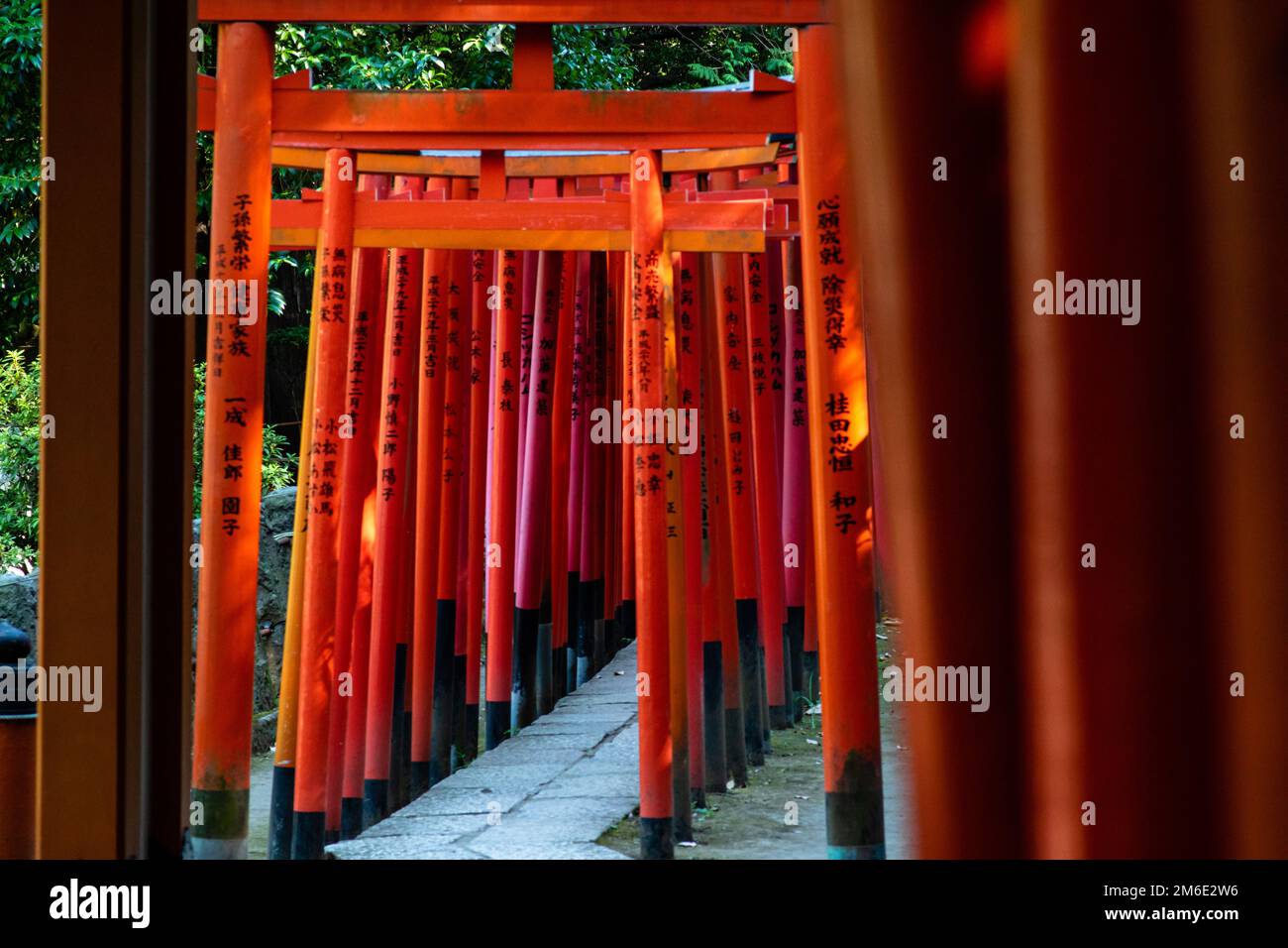 Tokyo, Japan - 9 8 2019: The rows of red 'torii' archways in Nezu shrine Stock Photo