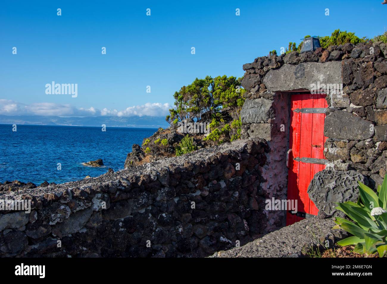 Walk on the Azores archipelago. Discovery of the island of Pico, Azores