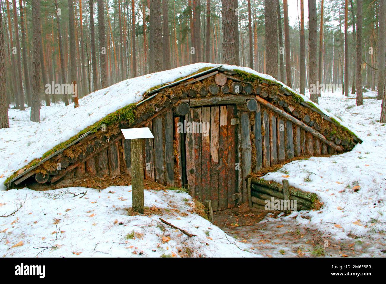Partisan dugout in winter forest. Earth-house built by Soviet partisans in Ukrainian forest during S Stock Photo