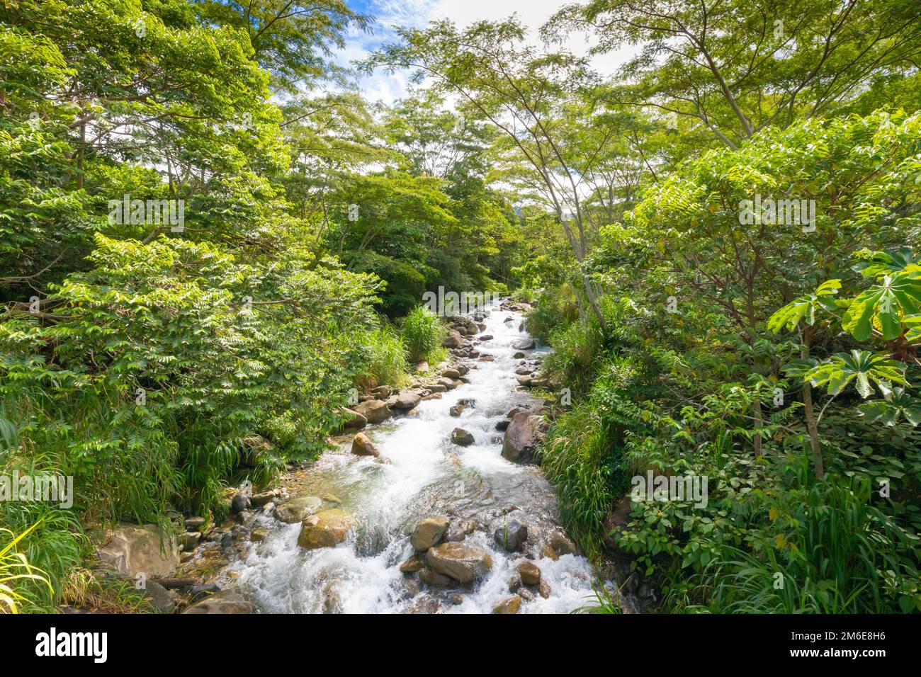 Costa Rica river in the jungle Stock Photo