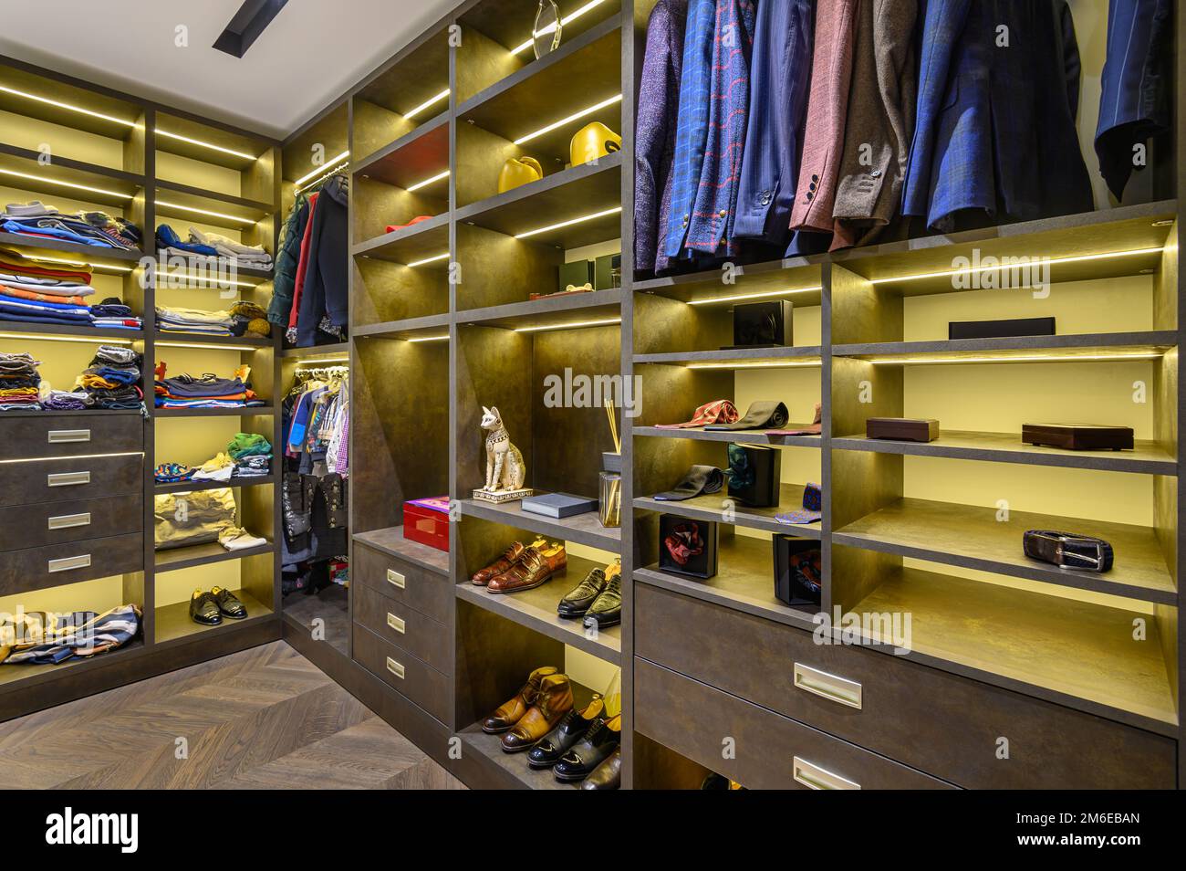 Luxury Masculine Closets