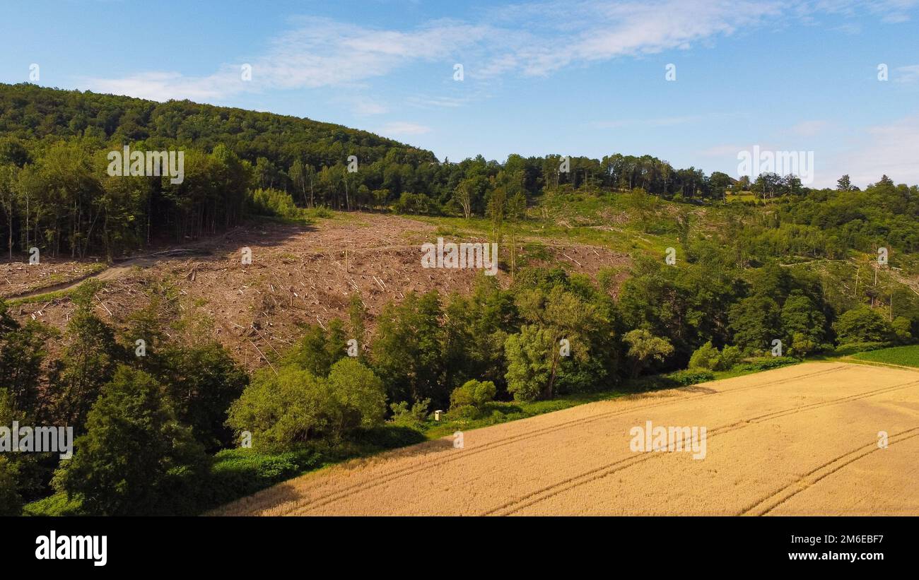 Dried out field and destroyed forest aerial view - natural catastrophe Stock Photo