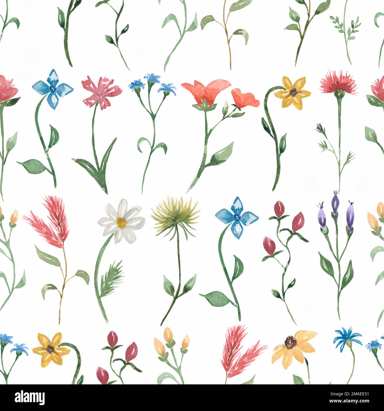 Wildflower Garden Wallpaper For Android Background, Pictures Of Wildflowers  Background Image And Wallpaper for Free Download