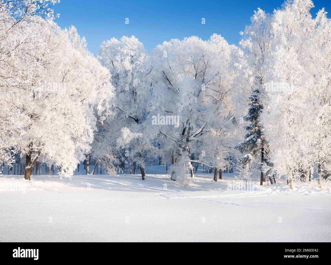 Beautiful sunny winter day hi-res stock photography and images - Alamy