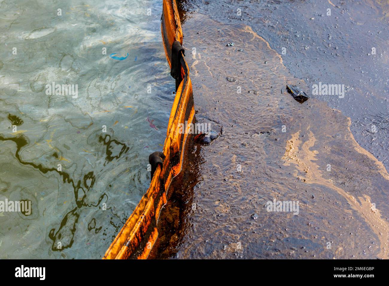 Ecological catastrophy. Close-up. Spill of oil products into the sea. Poisonous oil products float o Stock Photo