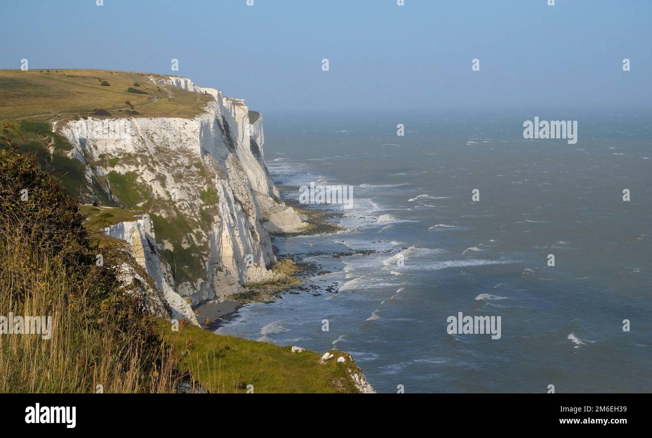 White cliffs of dover grass clear sky sea england Stock Photo Alamy