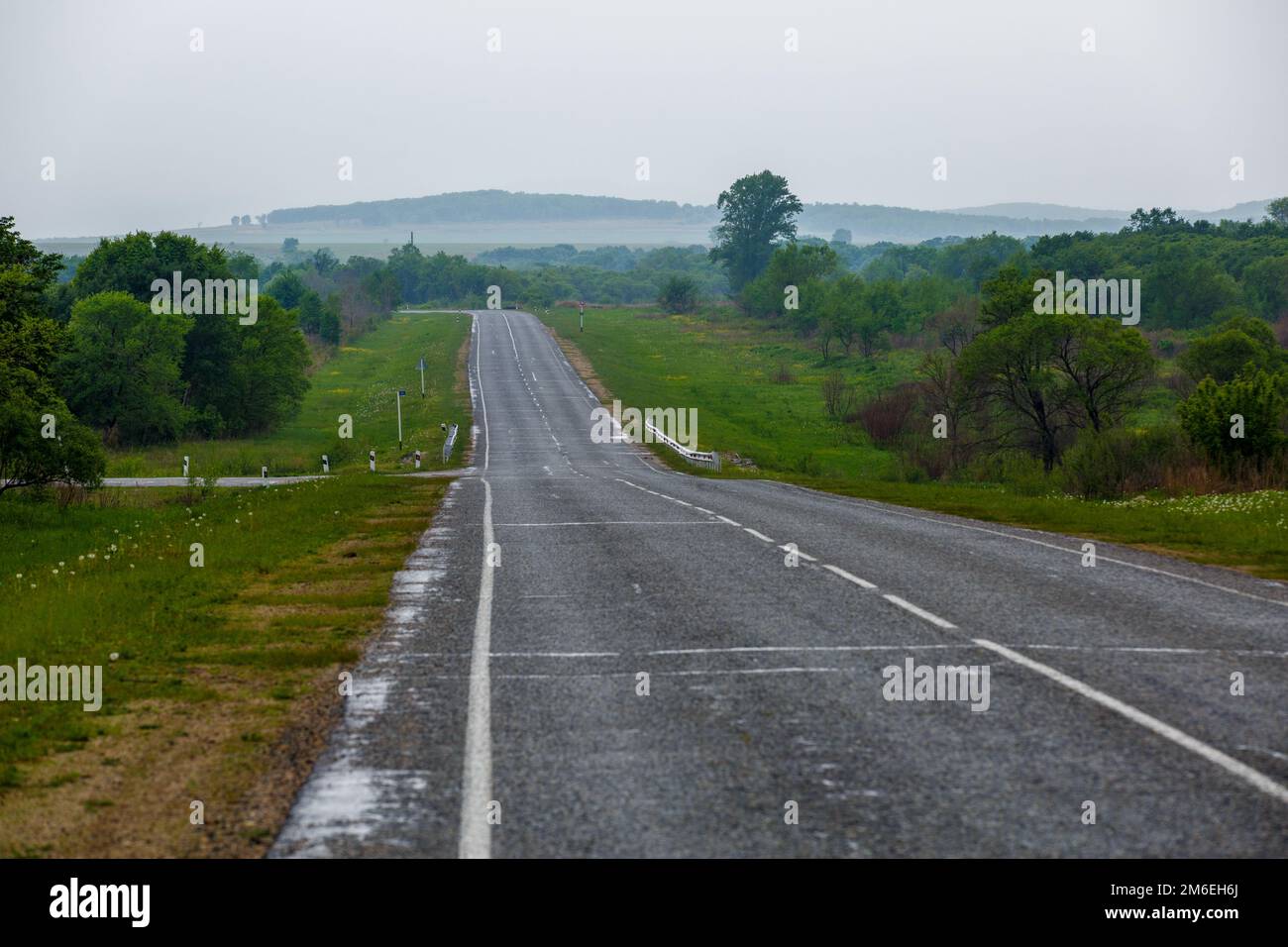 Asphalt road receding into the distance among green fields Stock Photo