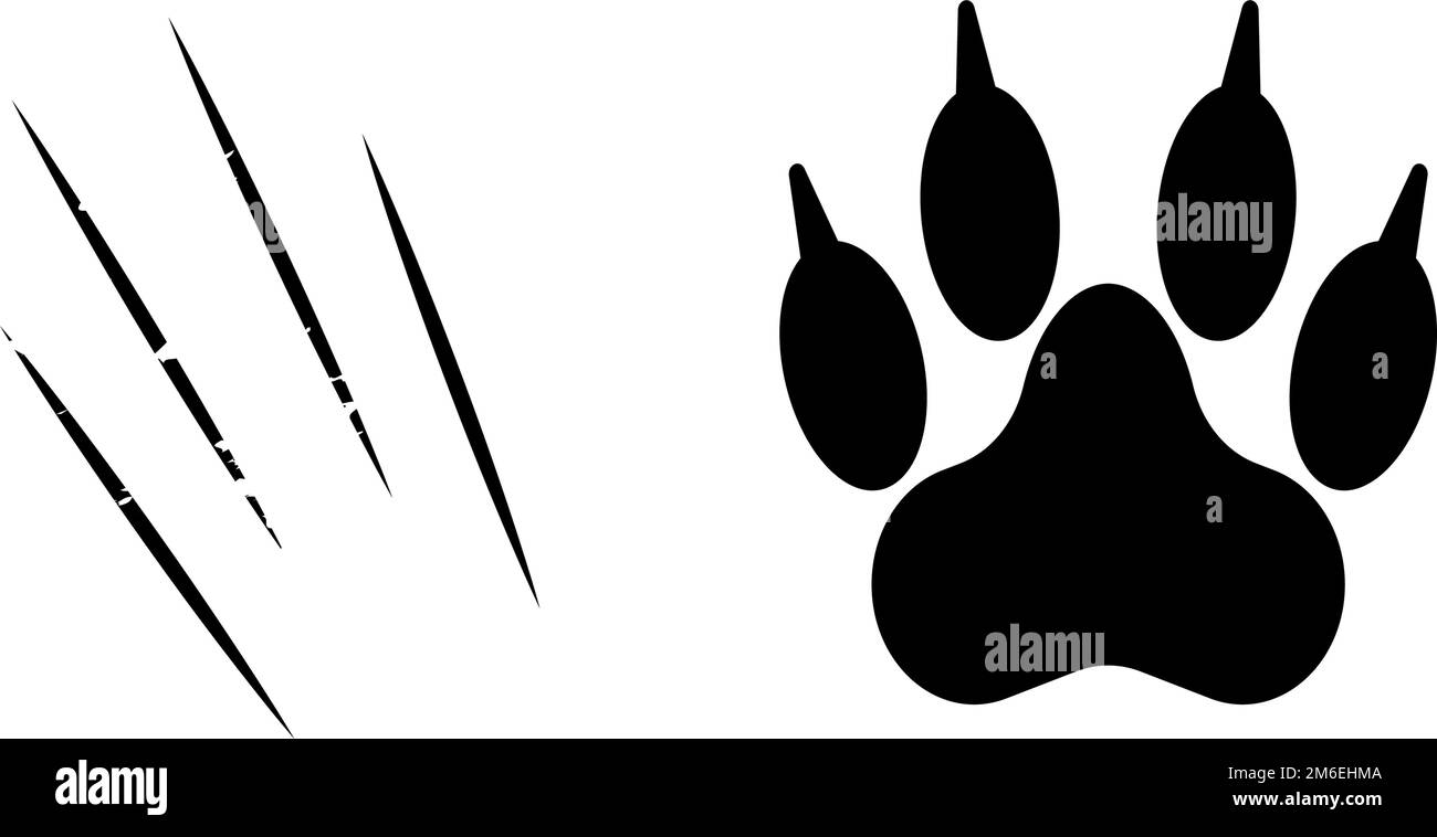 Paw with claws. Scratching claw. Animal attack. Editable vector. Stock Vector