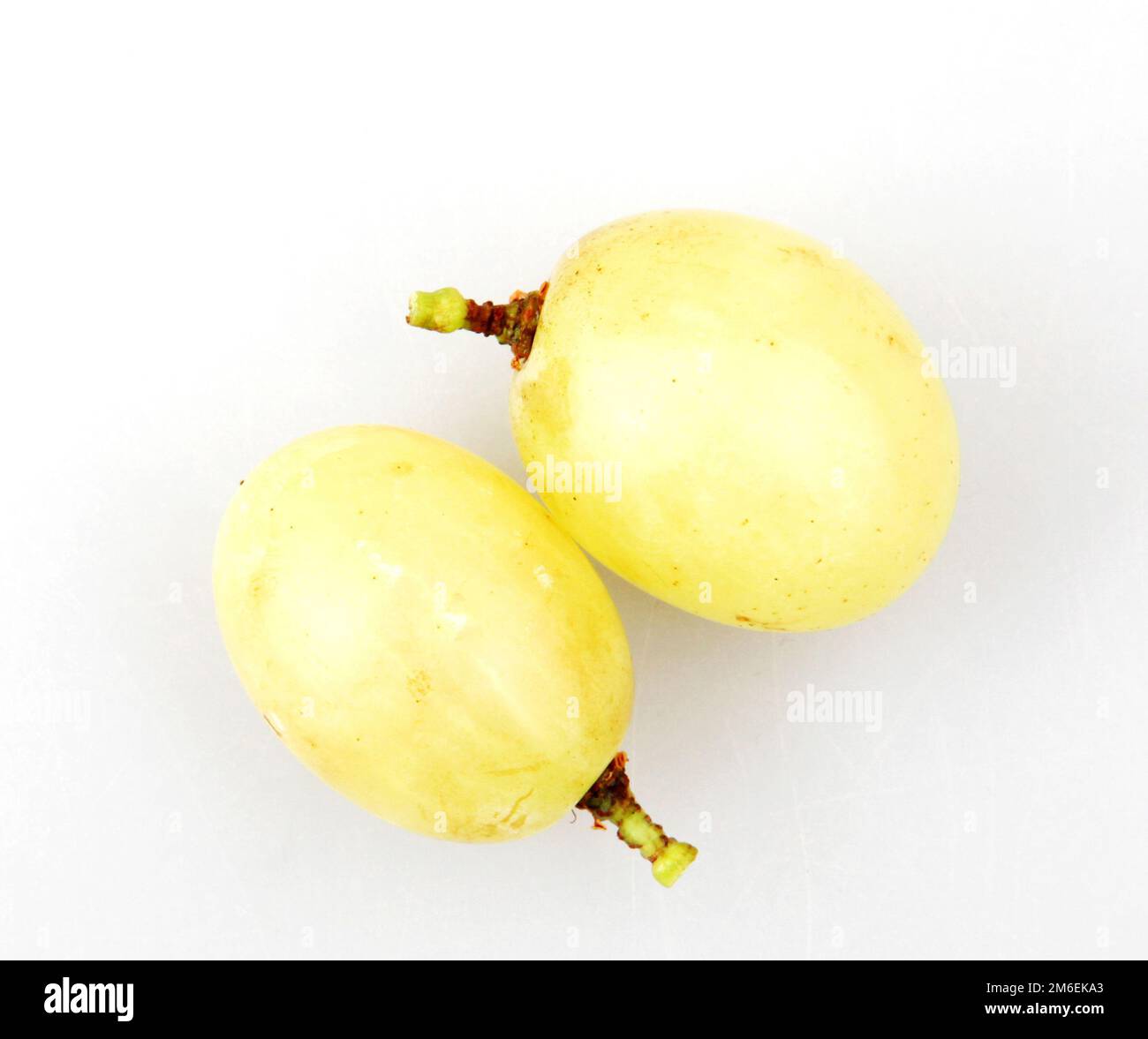 Victoria Raisin White table grapes against white background Stock Photo - Alamy