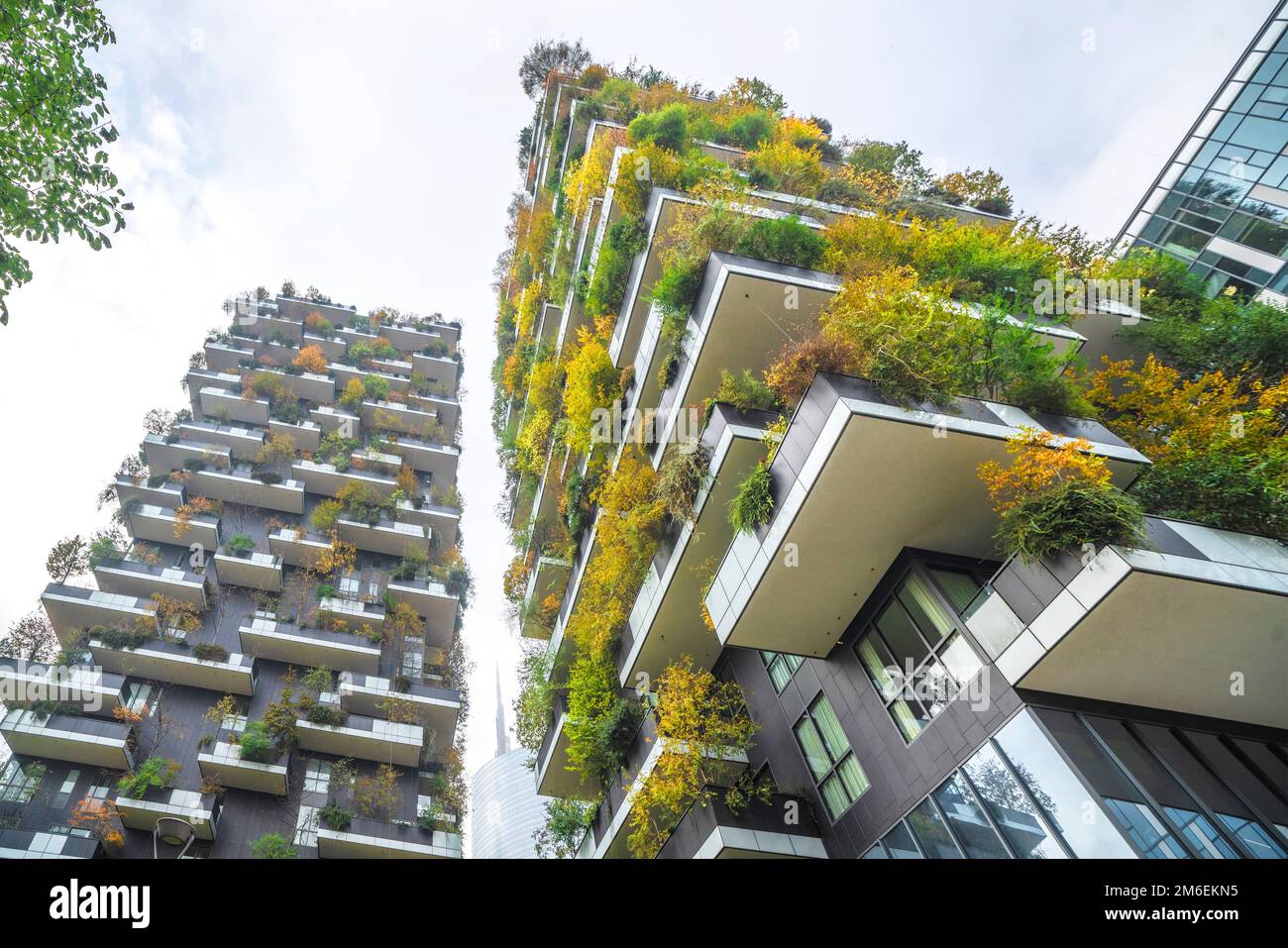 Tall buildings with green plants in the big city on a bright day Stock ...