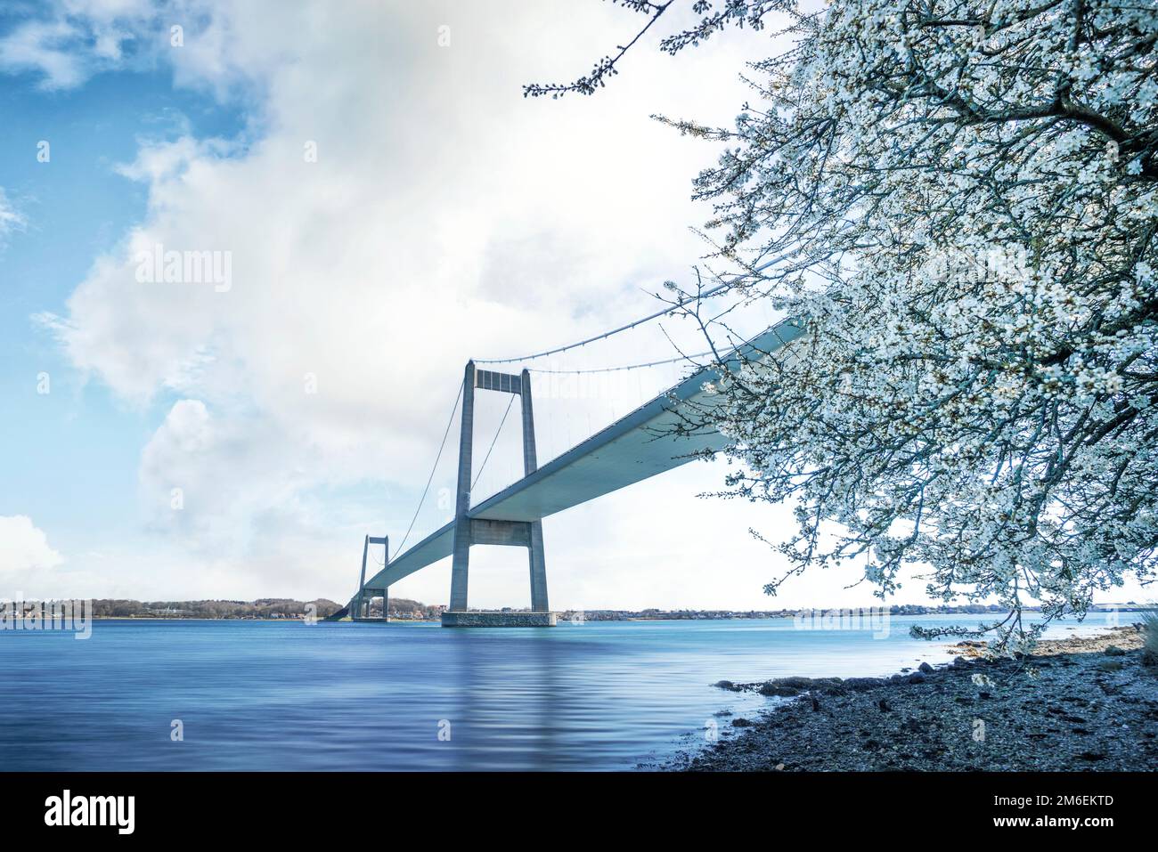 Beautiful bridge over calm waters in the springtime with a tree blooming with white flowers Stock Photo