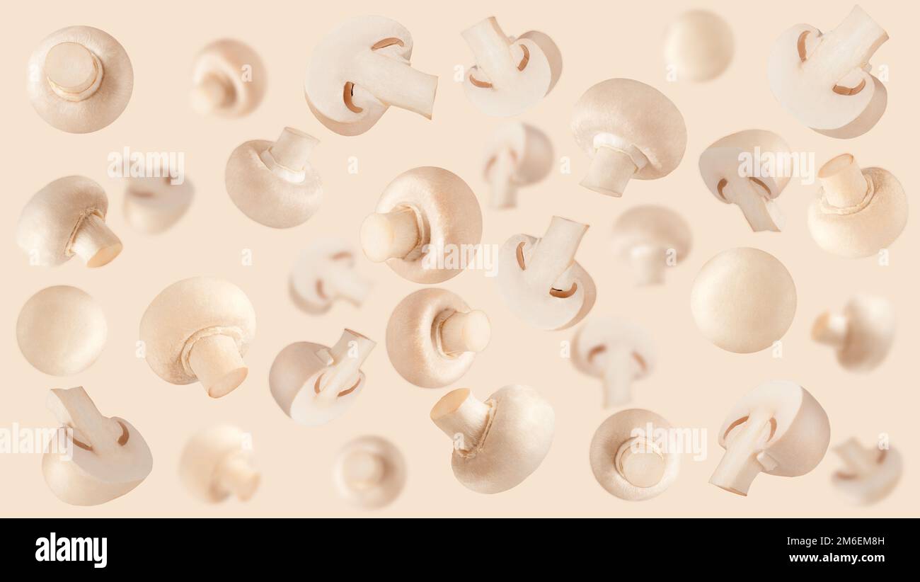 Creative levitation pattern with mushroom. Selective focus. Isolated ...