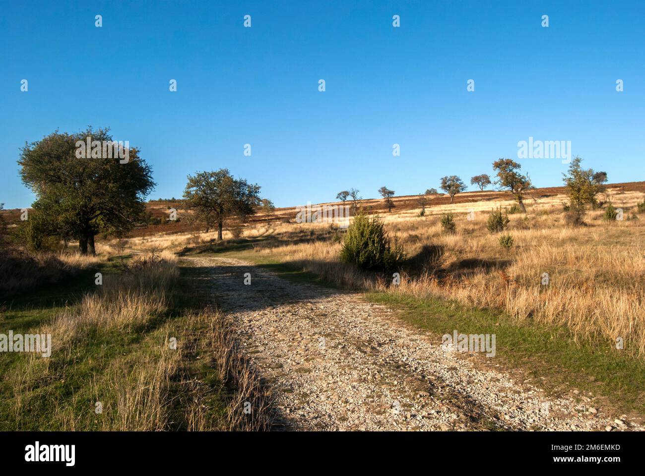 Summer day landscape road hi-res stock photography and images - Alamy