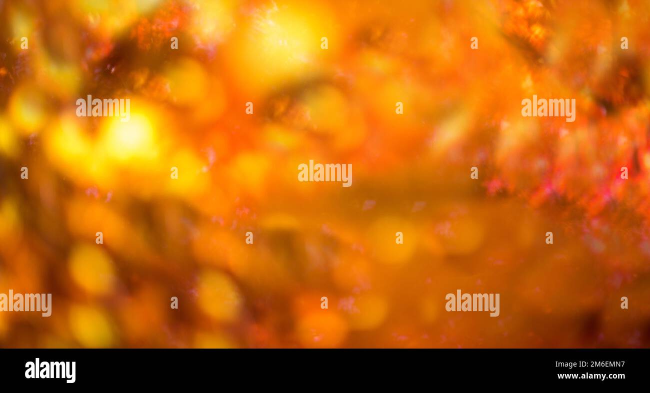 Defocused red leaves, perfect autumn background Stock Photo