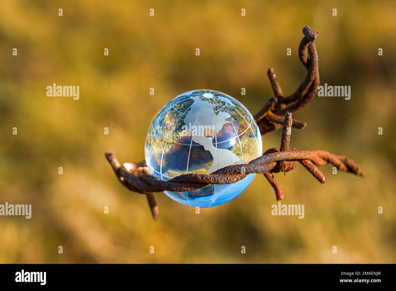 The concept of symbolism. On a yelloe grass is a glass globe, which is surrounded by rusty barbed wire Stock Photo