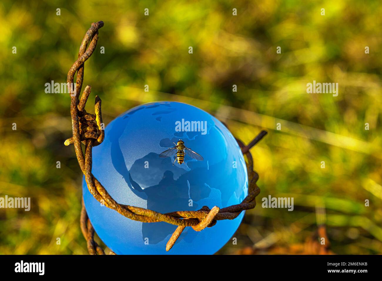 The concept of symbolism. On a green grass is a glass globe, which is