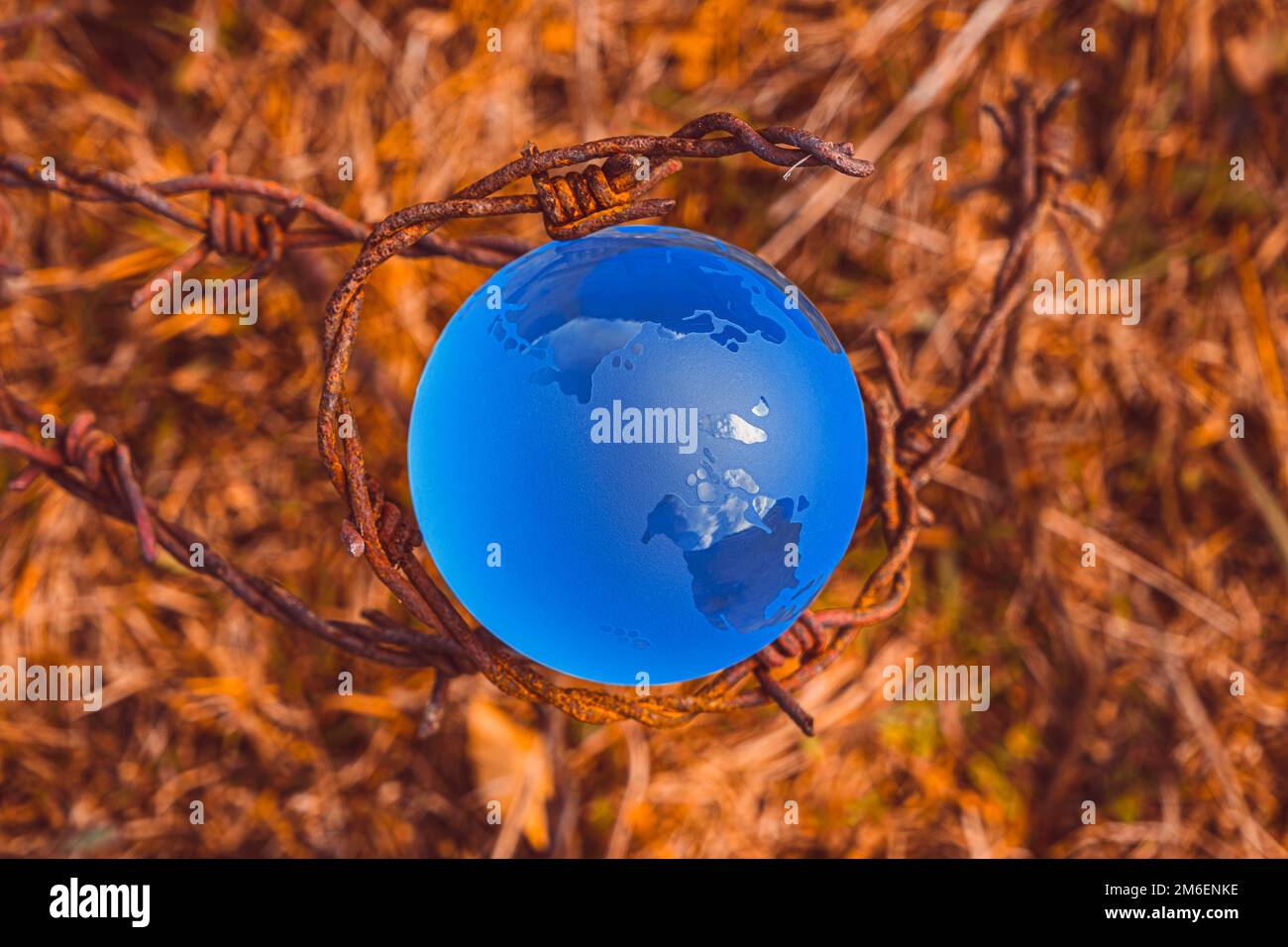 The concept of symbolism. On a yelloe grass is a glass globe, which is surrounded by rusty barbed wire Stock Photo